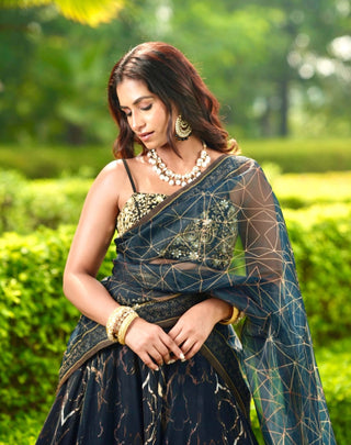 Meesha black lehenga set