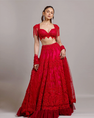 Red elegant rakul lehenga