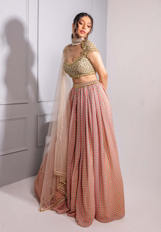 Multicolor print georgette lehenga set