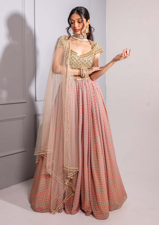 Multicolor print georgette lehenga set