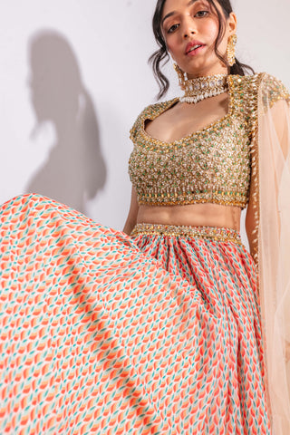 Multicolor print georgette lehenga set