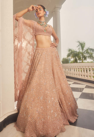 Scarlet pink embroidered lehenga set