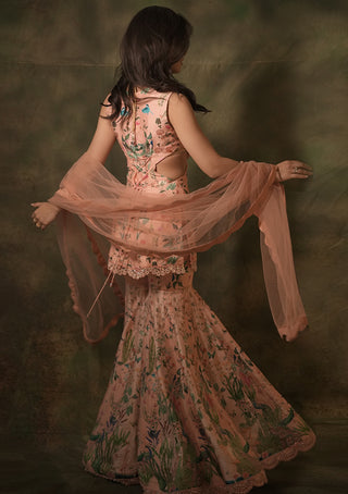 Pink celadon sharara set