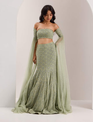 Lenore mint green mermaid lehenga set