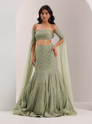 Lenore mint green mermaid lehenga set