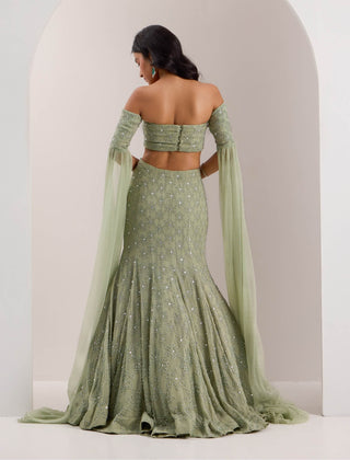 Lenore mint green mermaid lehenga set