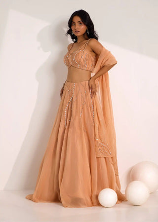 Diora rose gold lehenga set