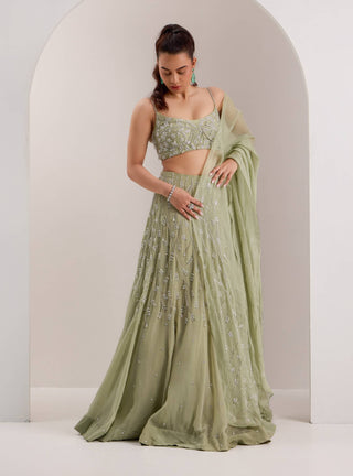 Kaena mint green lehenga set