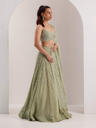 Kaena mint green lehenga set