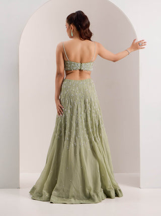 Kaena mint green lehenga set