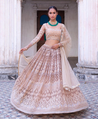 Champagne gold embroidered lehenga set