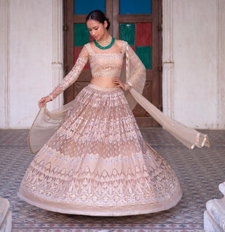 Champagne gold embroidered lehenga set