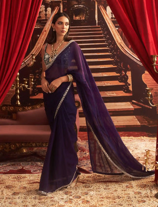 Desi girl purple choli, organza saree and petticoat