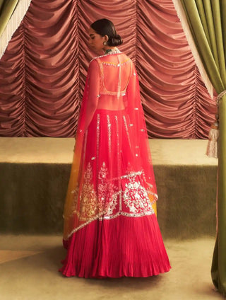 Kamala rani pink choli, lehenga and dupatta