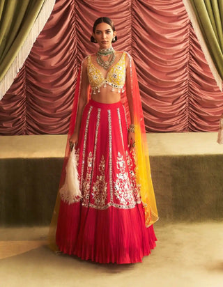 Kamala rani pink choli, lehenga and dupatta