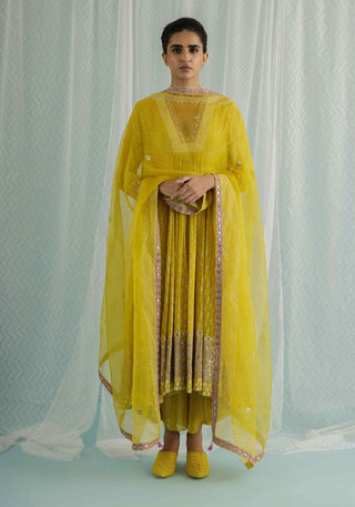 Canary noa anarkali set