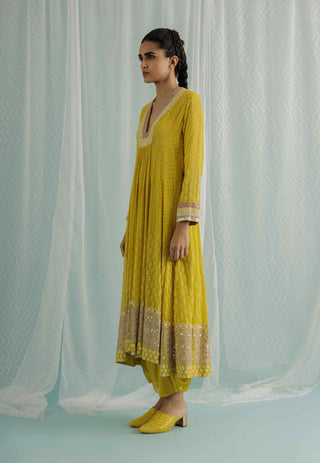 Canary noa anarkali set