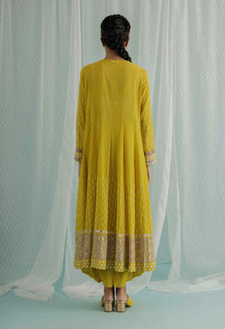 Canary noa anarkali set