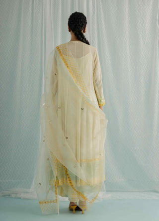 Ivory noa anarkali set