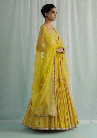 Canary demi hip-tiered lehenga set