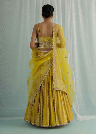 Canary demi hip-tiered lehenga set