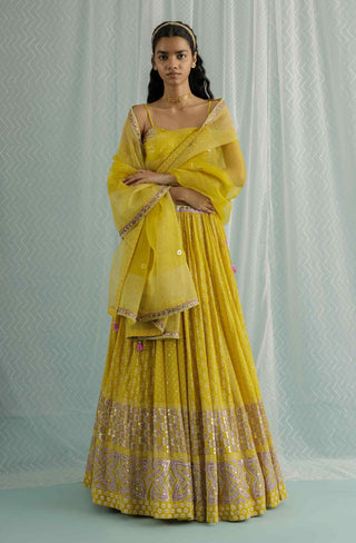 Canary aria lehenga set