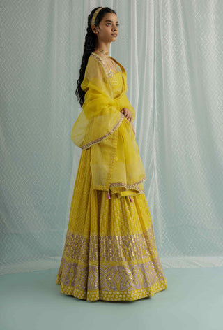 Canary aria lehenga set