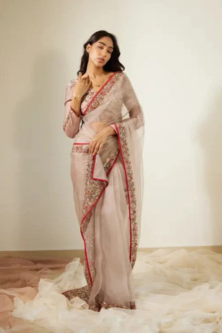 Gray Gulaal Saree