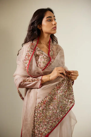 Gray Gulaal Saree