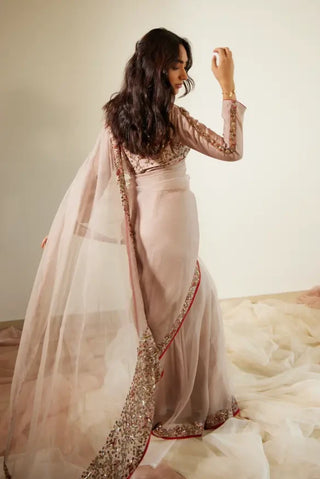 Gray Gulaal Saree