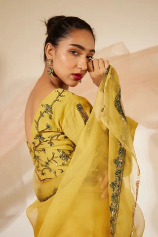 Yellow Abir Saree