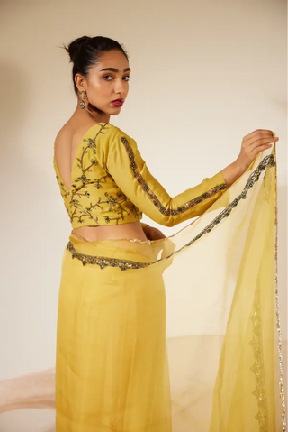 Yellow Abir Saree