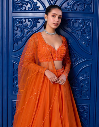 Orange tonal organza skirt set - Orange tonal organza skirt set - Sanya Gulati - Available at Mrs. G