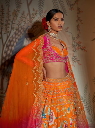 Noorani tangerine lehenga set