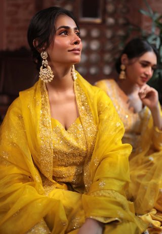 Mustard embroidery angrakha gown and dupatta