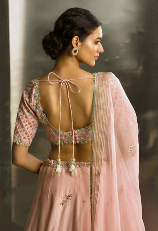 Light pink lehenga set