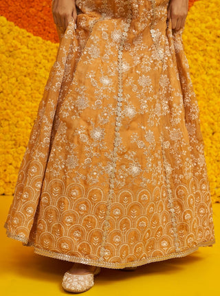 Saiyaara mustard lehenga set