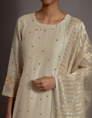 Ivory tissue appliqued straight kurta set