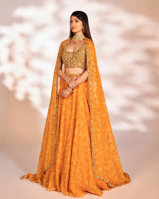 Reha orange lehenga set