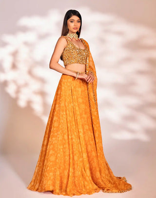 Reha orange lehenga set