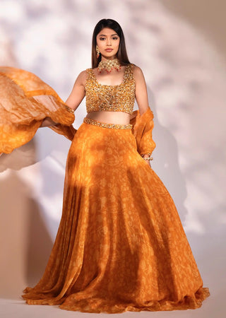 Reha orange lehenga set