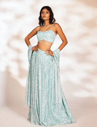 Delia blue lehenga set