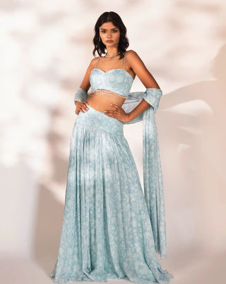 Delia blue lehenga set