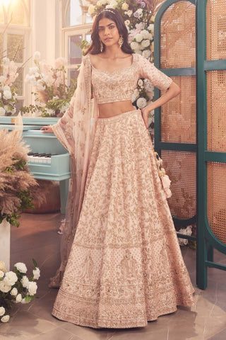 Nairobi peach embroidered lehenga set