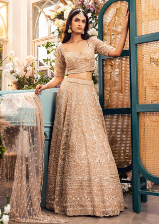 Margarett gold embroidered lehenga set