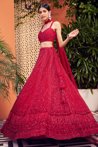 Rio red net lehenga set