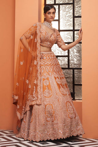 Shadi saga rust lehenga set