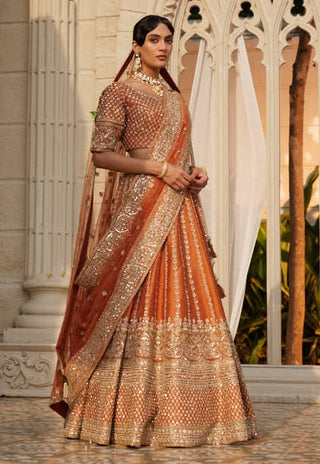 Aster rust embroidered lehenga set