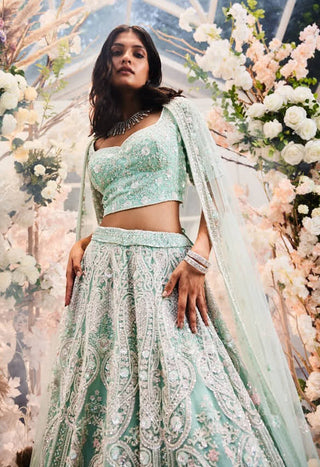 Arsh mint embroidered lehenga set