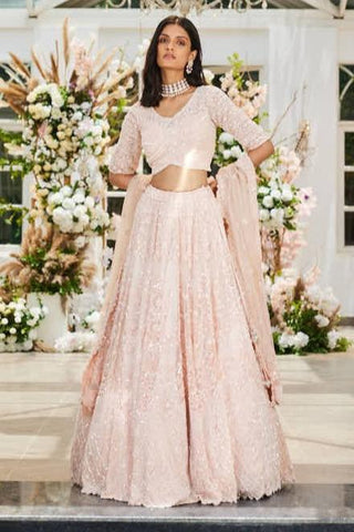 Eden pink embroidered lehenga set